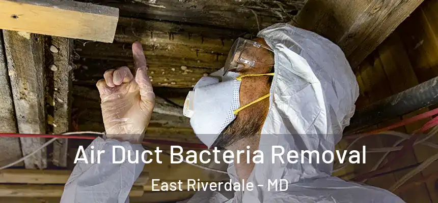  Air Duct Bacteria Removal East Riverdale - MD