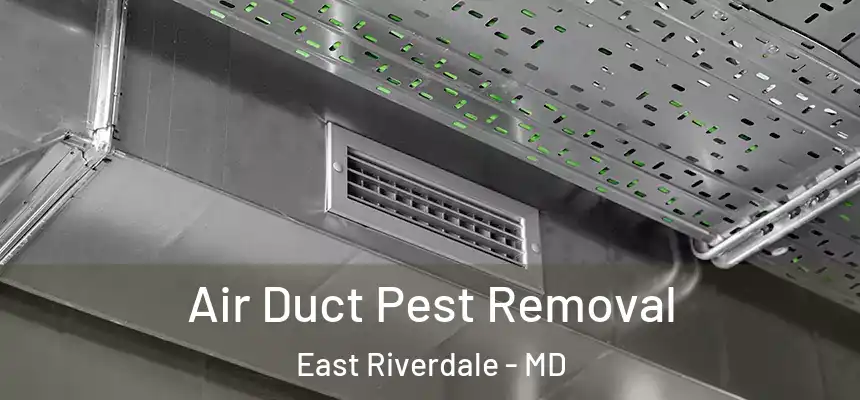  Air Duct Pest Removal East Riverdale - MD