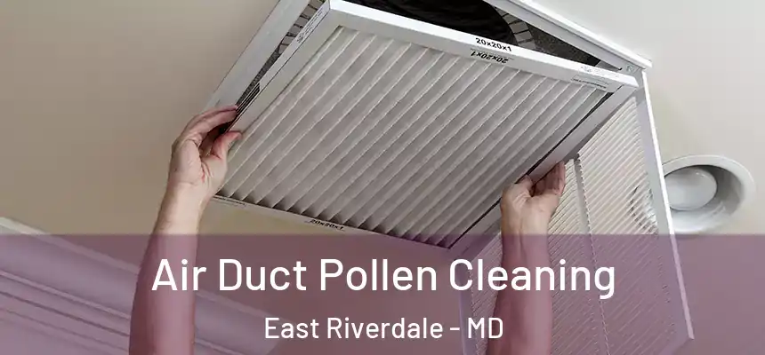  Air Duct Pollen Cleaning East Riverdale - MD