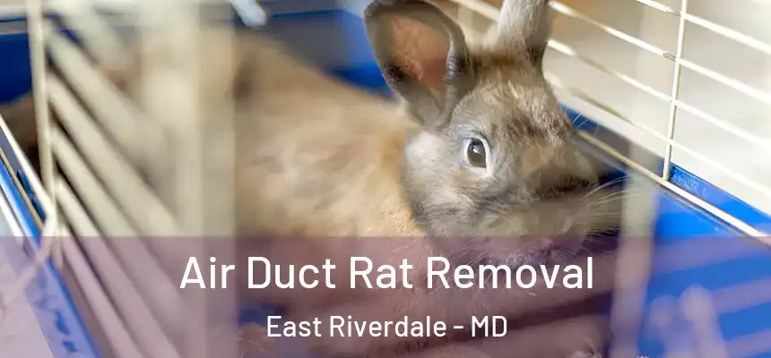  Air Duct Rat Removal East Riverdale - MD