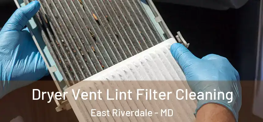  Dryer Vent Lint Filter Cleaning East Riverdale - MD