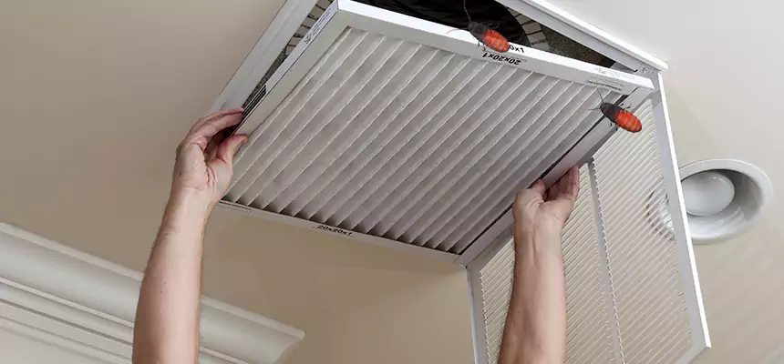 Preventive Cockroach-Proofing for Ducts in East Riverdale