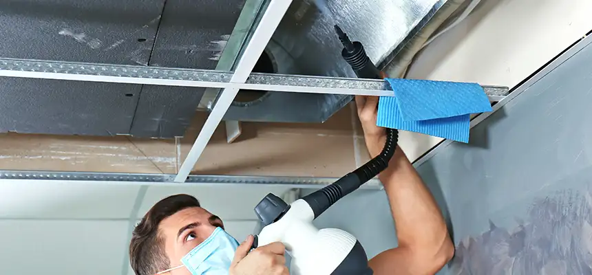 Our Air Duct Rodent Removal Services in East Riverdale, MD