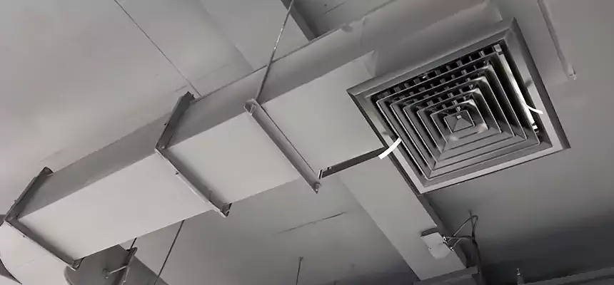 Restorative Allergy Relief Vent Cleaning – Coil, Blower & Housing Detail in East Riverdale