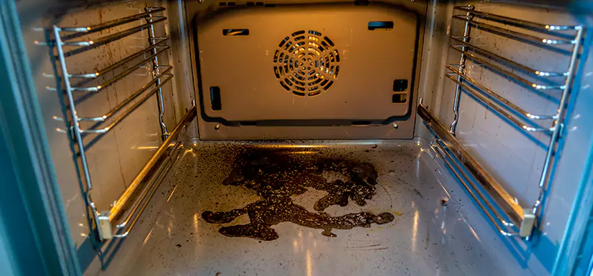 Our Dryer Vent Mold Cleaning Services in East Riverdale, MD