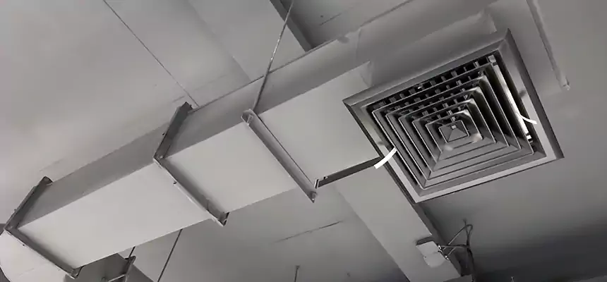 Our Pest Removal From Ducts Services in East Riverdale, MD