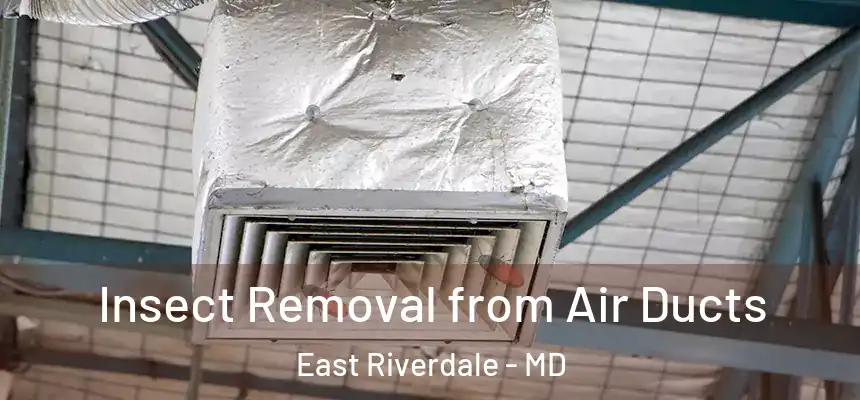  Insect Removal from Air Ducts East Riverdale - MD