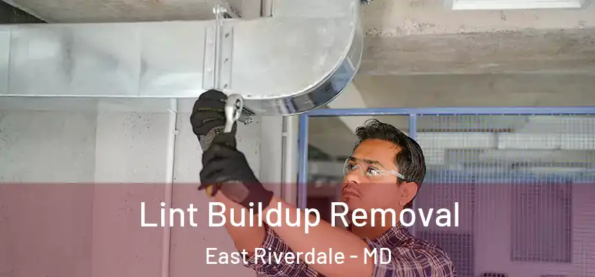  Lint Buildup Removal East Riverdale - MD
