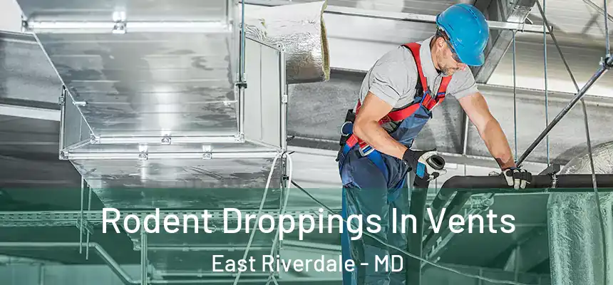  Rodent Droppings In Vents East Riverdale - MD