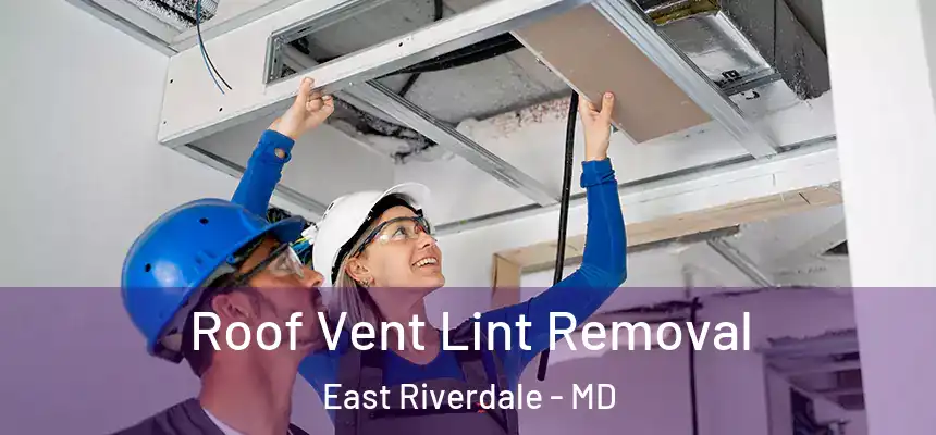  Roof Vent Lint Removal East Riverdale - MD
