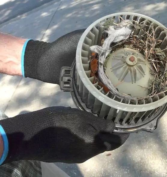 About Air Duct Rat Removal in East Riverdale, MD