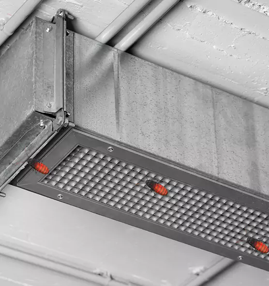 Affordable Insect Removal from Air Ducts in East Riverdale, MD