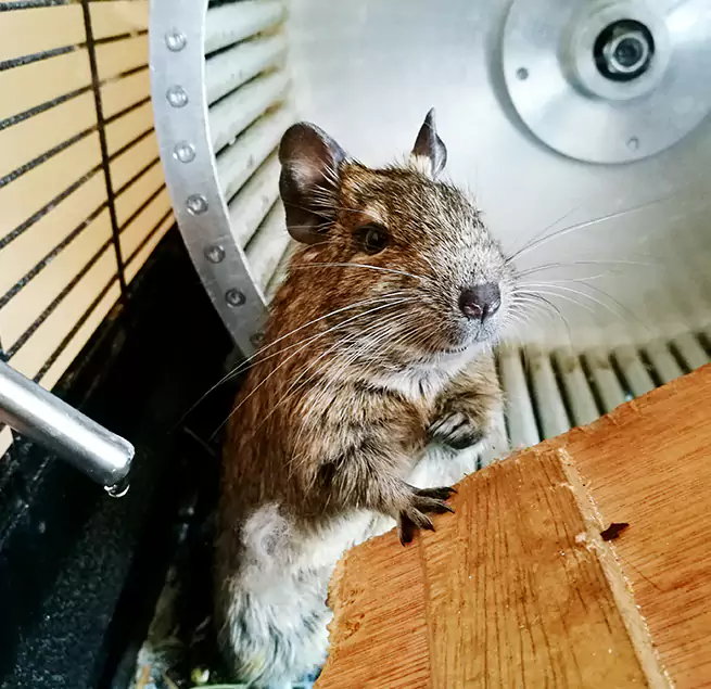 Why Homeowners & Businesses Trust Us East Riverdale, MD