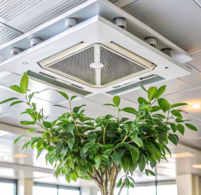 Why Homeowners & Businesses Trust Us in East Riverdale, MD